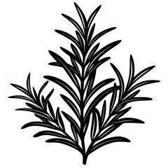 Rosemary leaf icon vector, a Rosemary leaf silhouette, Vector of Rosemary leaf art, a Rosemary leaf black silhouette vector isolated