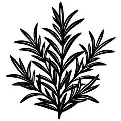 Obraz premium Rosemary leaf icon vector, a Rosemary leaf silhouette, Vector of Rosemary leaf art, a Rosemary leaf black silhouette vector isolated