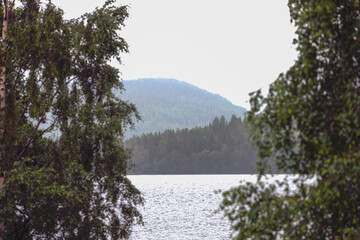 lake in the woods, ume&aring;, norrland,sverige,sweden,sommar, summer