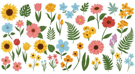 Obraz premium Colorful spring floral element collection illustration isolated on white background