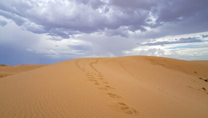 Scenic Sandy Desert Dune Under Dramatic Cloudscape with Visible Footprints