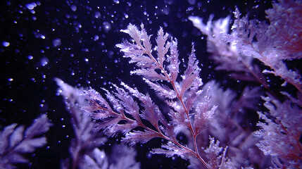 Fototapeta premium Delicate purple coral branches sway gracefully underwater, surrounded by floating particles, creating serene and enchanting marine scene