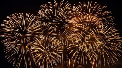Spectacular burst of fireworks illuminating night sky with vivid golden trails forming a circular heart shape with red highlights