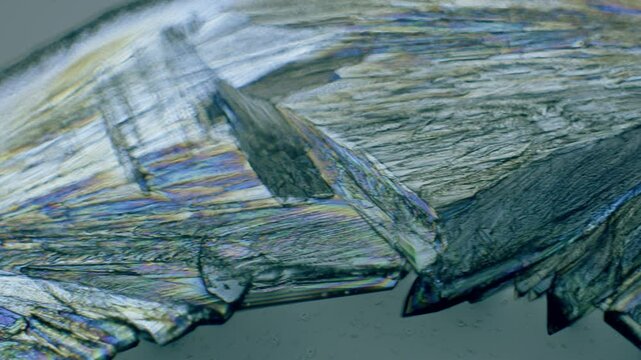 Copper sulphate crystals growing under microscope in polarized light
