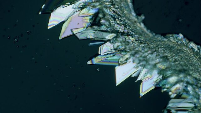 Copper sulphate crystals growing under microscope in polarized light