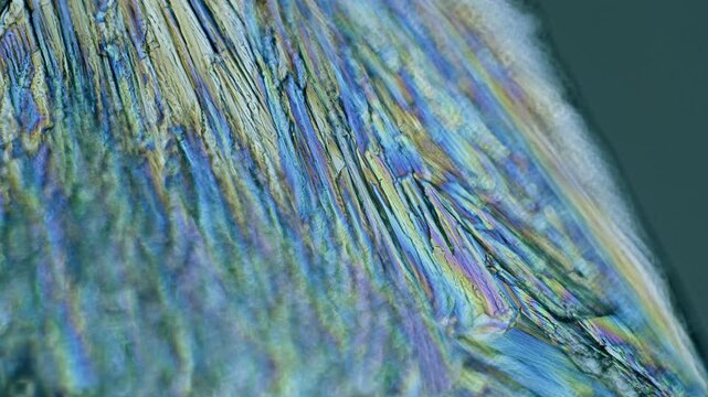Copper sulphate crystals growing under microscope in polarized light