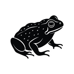 Naklejka premium toad frog on white background