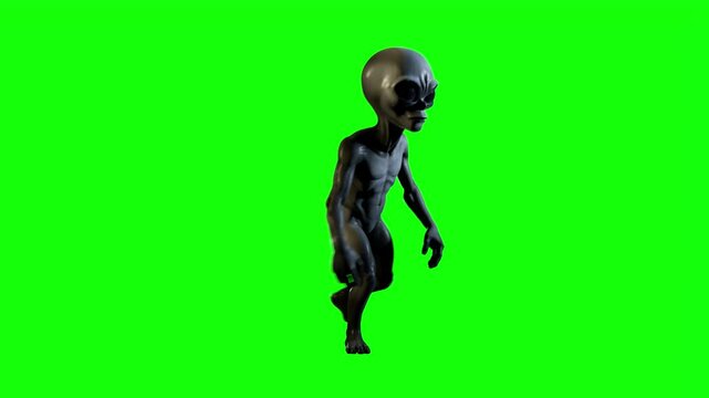 Realistic 3D green screen animation of a gray alien being walking forward