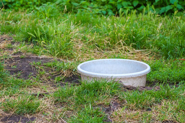 Fototapeta premium White ceramic water bowl placed on green grass lawn in peaceful garden setting