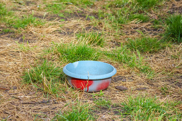 Small colorful structure placed on green grass field in natural outdoor environment
