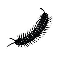 Obraz premium vector illustration of a silhouette of a millipede