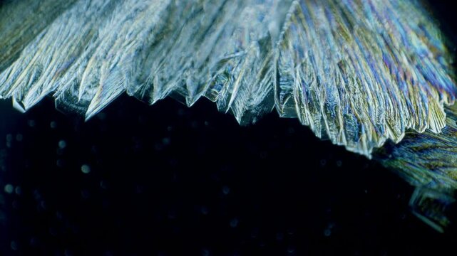 Copper sulphate crystals growing under microscope in polarized light