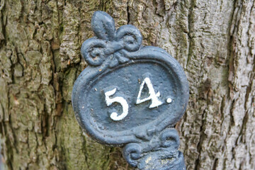 Vintage cemetery grave marker number 54 with ornate metalwork design mounted on weathered stone in...