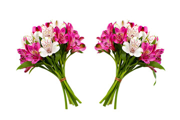 Fototapeta premium Two bouquets of pink and white alstroemeria flowers isolated on transparent background