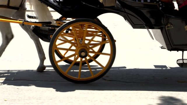Horse Transporting Carriage Of Tourists In Extreme Heat In The Sun In Seville Spain