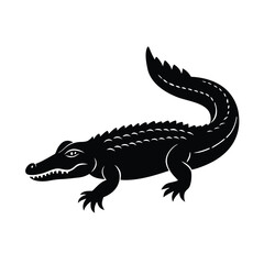 Obraz premium alligator on white background