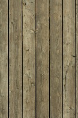 Natural Wood Texture, Vertical Frame