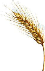 Fototapeta premium Bending Ear of Wheat with oil painting