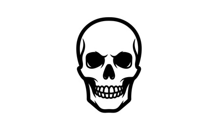 human skull isolated on white