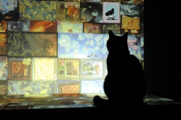 American bobtail explores digital art gallery with holographic displays. Cat interaction. Discovering the american bobtail: a breed of intelligence and activity. Feline agility. Pet lifestyle.