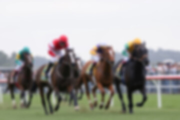 blurry racetrack, showing horses racing on a track with riders on them, blurry wallpaper.