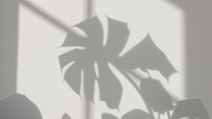 Fototapeta premium Monstera Leaf Shadow Art Minimalist Home Decor Impression with Natural Light
