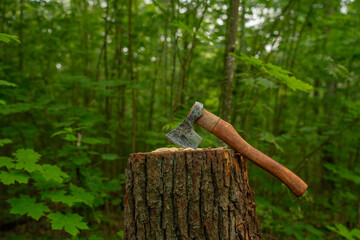 Viking axe against a green forest background
