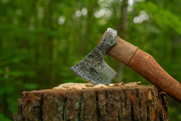 Viking axe stuck into a stump in a green forest