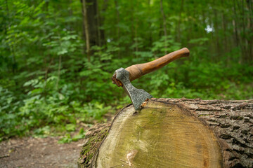 Viking axe stuck into a stump in a green forest