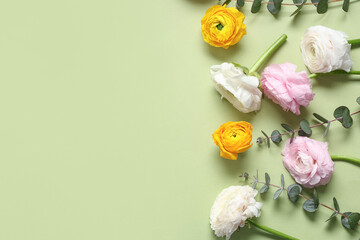 Beautiful ranunculus flowers and eucalyptus on green background