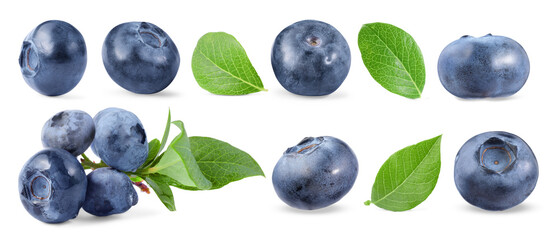Fresh blueberries and green leaves isolated on white, collage