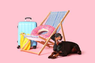 Cute Dobermann dog with beach accessories and suitcase on pink background