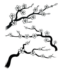 Cherry Blossom Branch Trio, Monochrome Sakura Illustrations