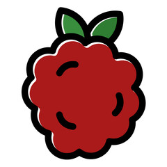 raspberry icon