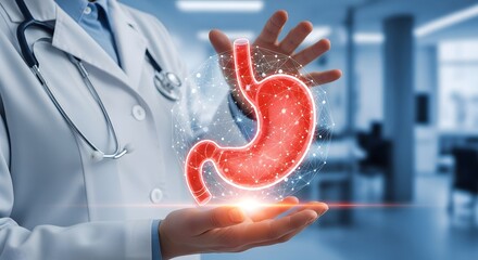 World Digestive Health Day Stomach and Doctor Gastrointestinal Health Doctor Displaying Stomach Model, Focused on Digestive Care and Healthy Living, With Emphasis on Medical Technology