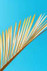 Abstract Fan Lines Against Blue Sky