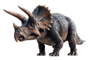 Fototapeta premium Realistic 3D model of a triceratops dinosaur with intricate textures and strong posture, isolated on transparent background