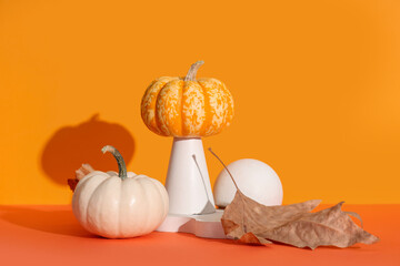 Decorative podiums with fresh pumpkins and autumn leaf on orange background