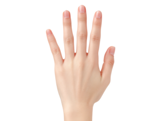 Open female hand palm up isolated on black background, Isolated On Transparent Background, Png