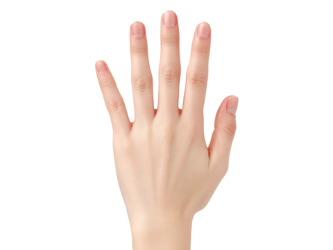 Open female hand palm up isolated on black background, Isolated On Transparent Background, Png