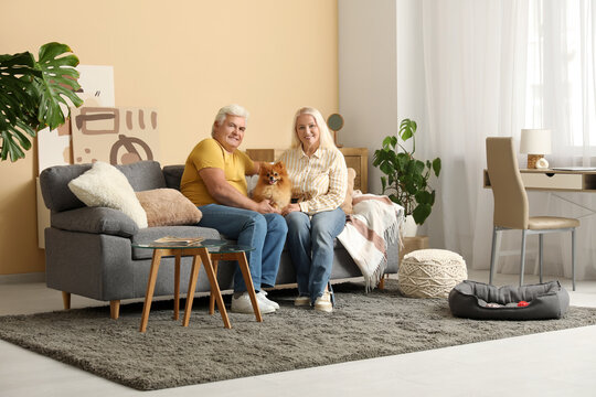 Happy senior couple with Pomeranian dog sitting on sofa at home
