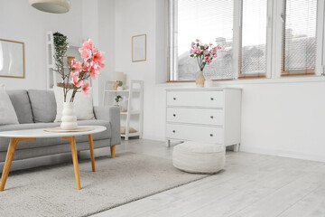 Chest of drawers, cozy sofa and coffee table with magnolia flowers in interior of living room