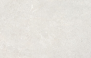 Seamless Light Gray Concrete Wall Texture