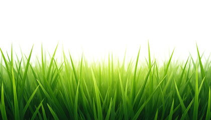 Fototapeta premium gently curved green grassy hills with natural texture and soft shadows, isolated on transparent png