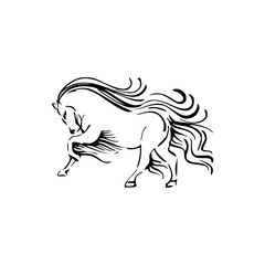 horse vector, graphic design
