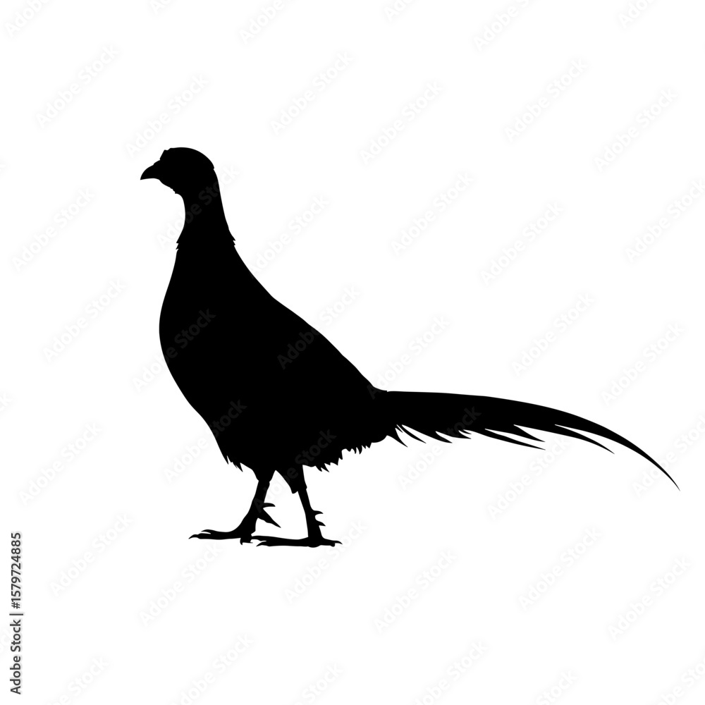 Poster silhouette of a pheasant standing gracefully with its long tail feathers displayed in a side profile