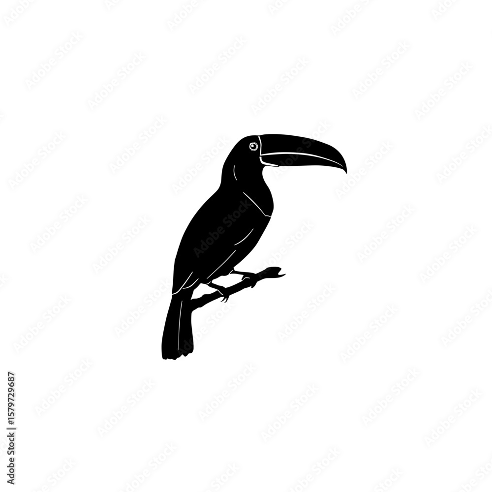 Poster illustration of a toucan perched on a branch with its distinctive bill prominently displayed in silh