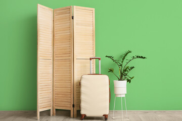 Houseplant, folding screen and packed suitcase near green wall in room