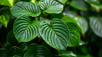 Natural green leaves plants using background, nature background, Generative ai