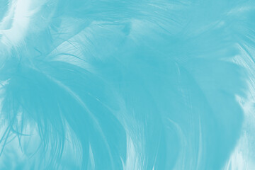 Beautiful green turquoise vintage color trends feather pattern texture pastel background